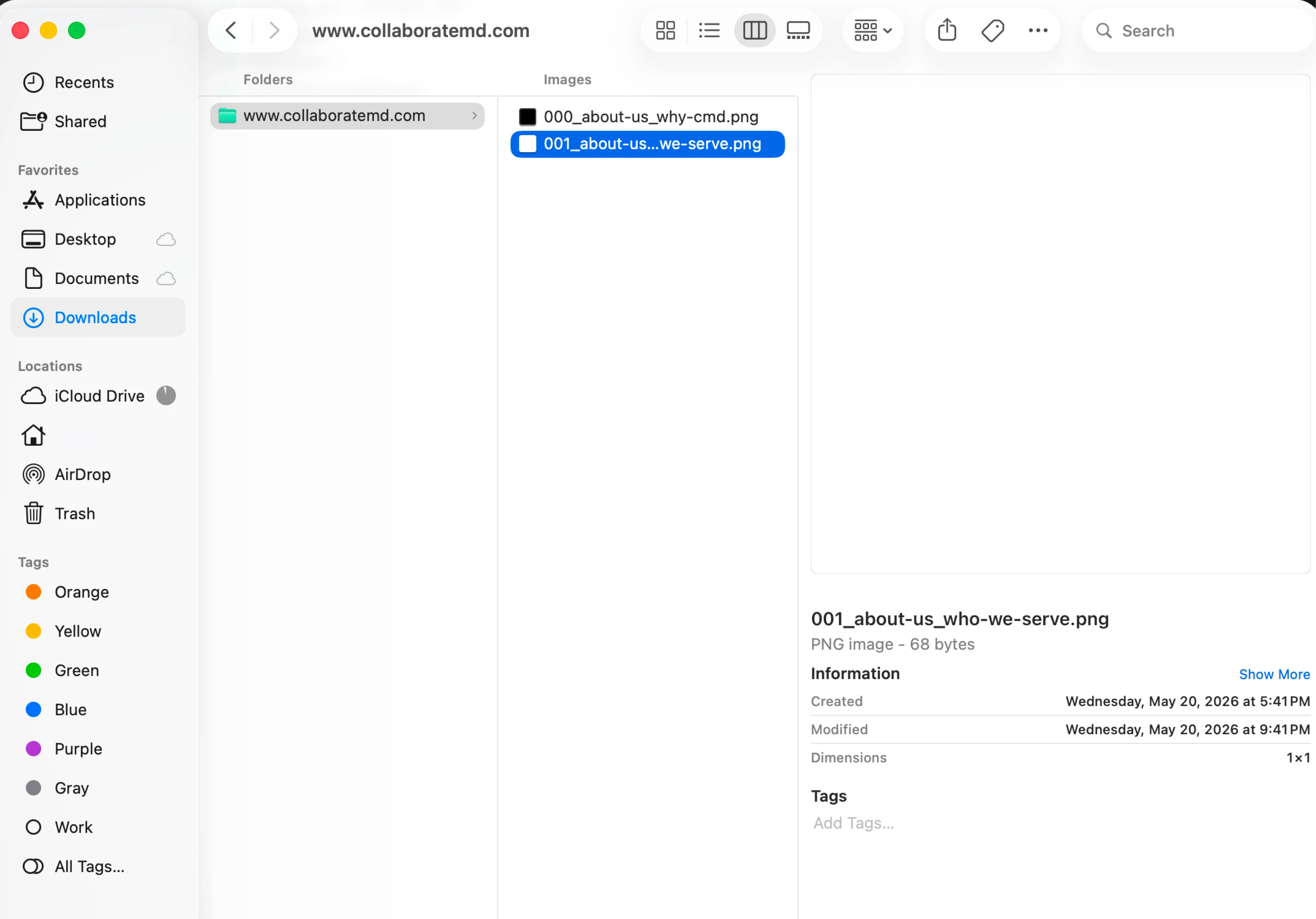 TotumSnap user-facing capture failure memo